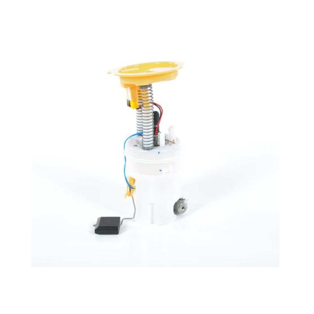 Bosch Fuel Delivery Module